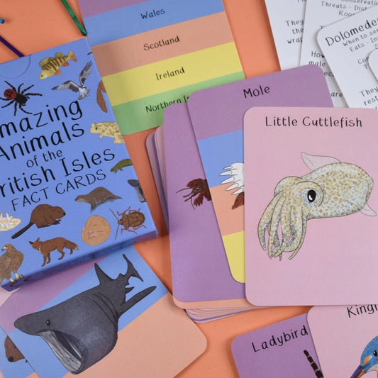 Button and squirt amazing animals of the british isles card pack