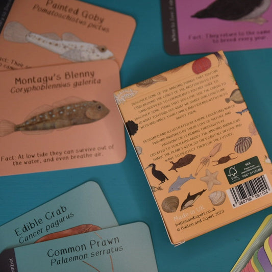 button and squirt british coastline ID cards back of card pack with four other cards showing