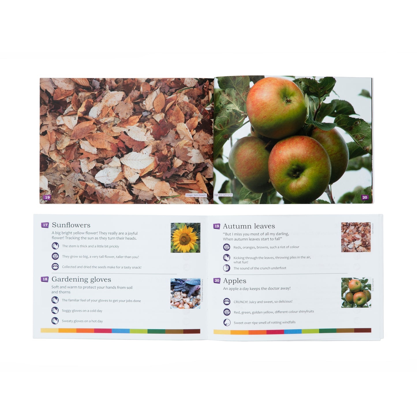Getting to know you dementia picture book inside
