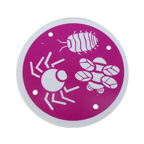 sensory trail kit