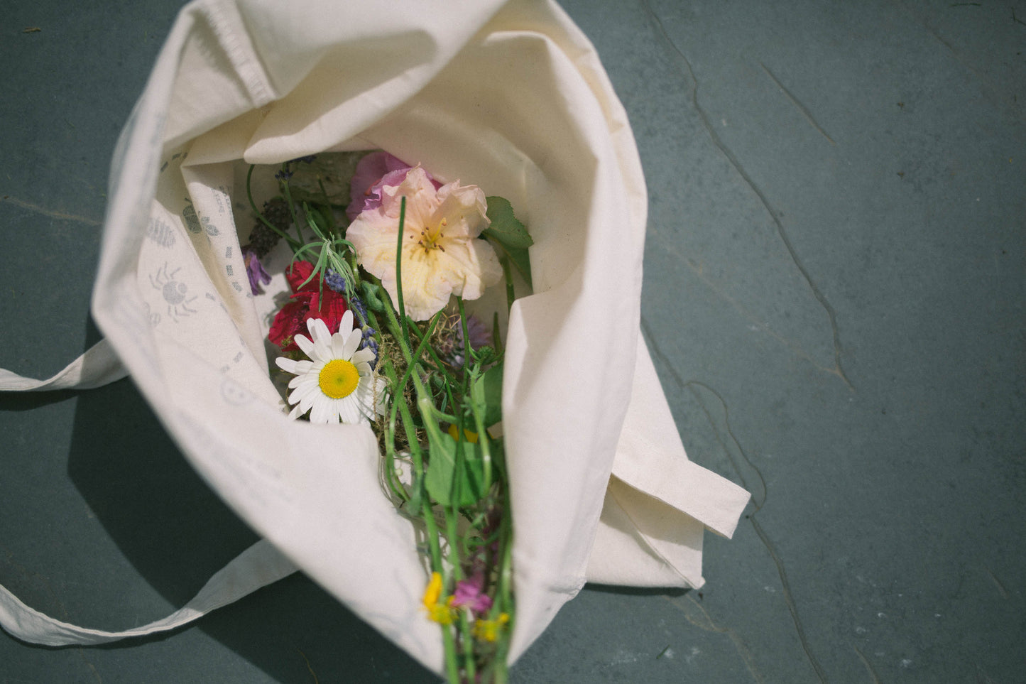 Looking down on a Nature Journey Bag by Sensory Trust showing flowers inside the bag