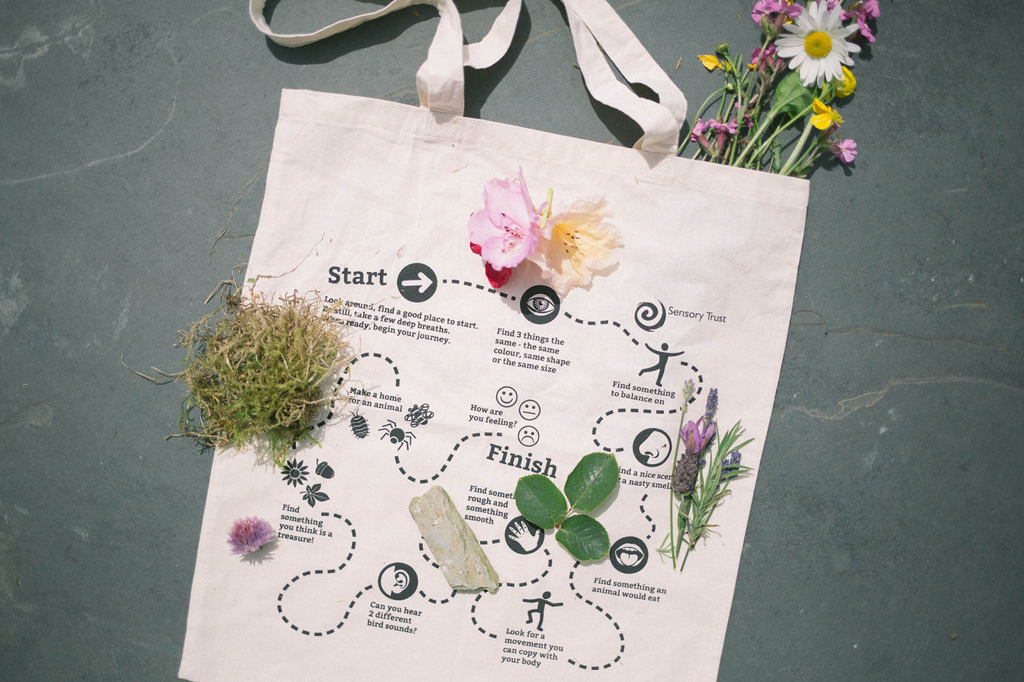 Nature Journey Bag by Sensory Trust with items from nature laid on top