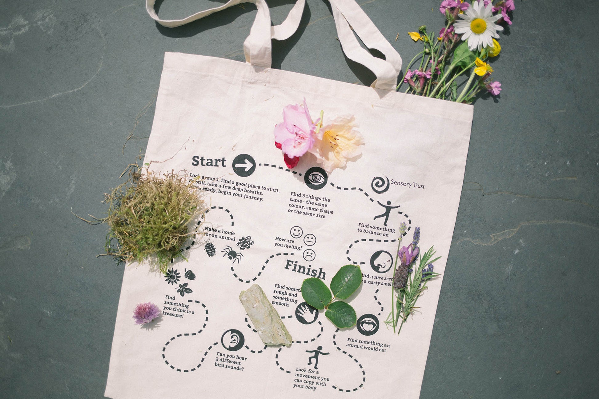 Nature Journey Bag by Sensory Trust with items from nature laid on top