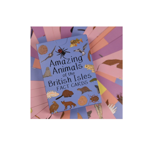 Button and squirt amazing animals of the british isles card pack