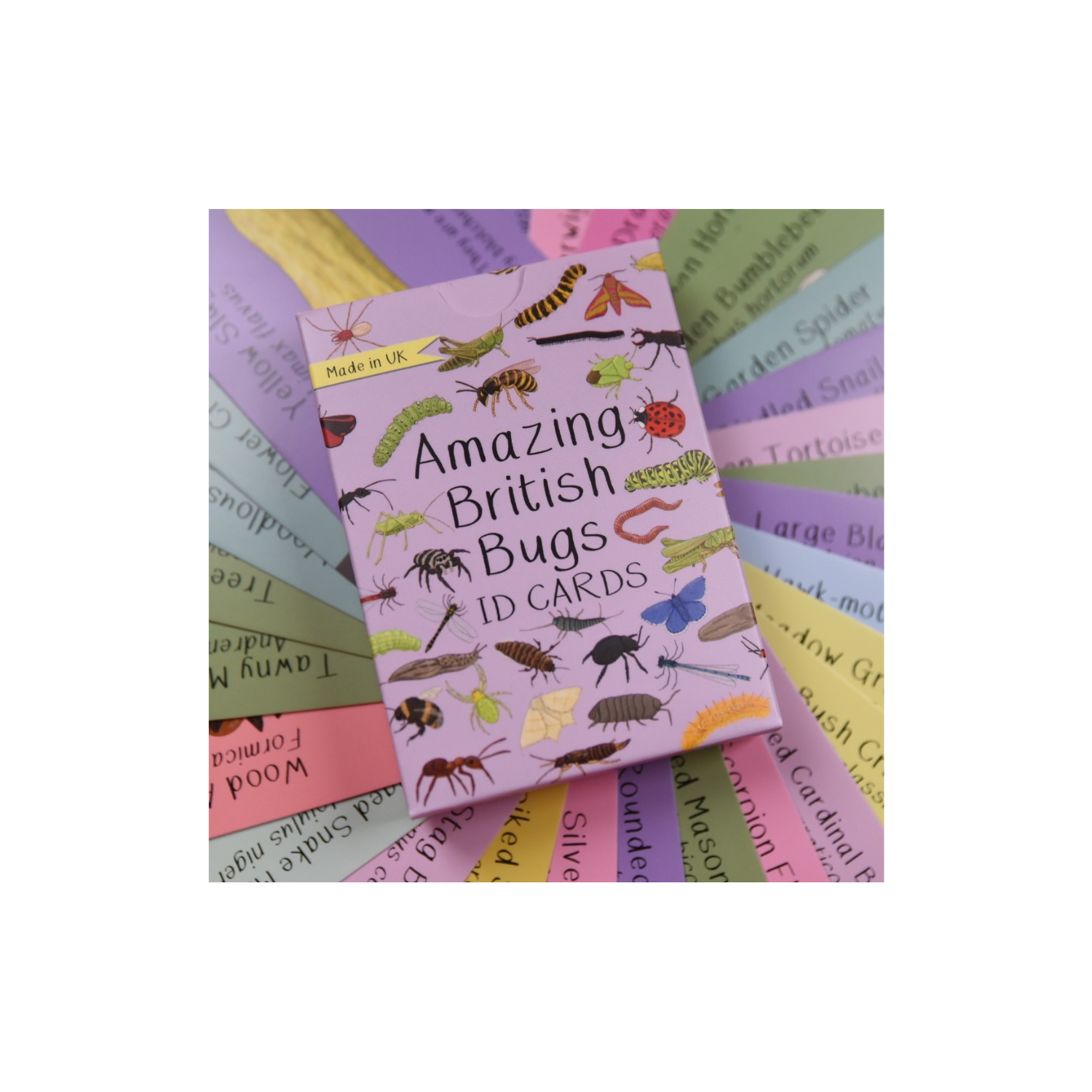 Button and squirt british bugs ID cards front image