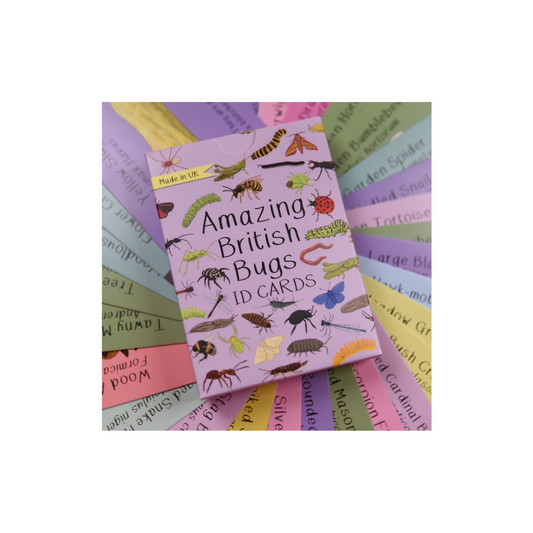 Button and squirt british bugs ID cards front image