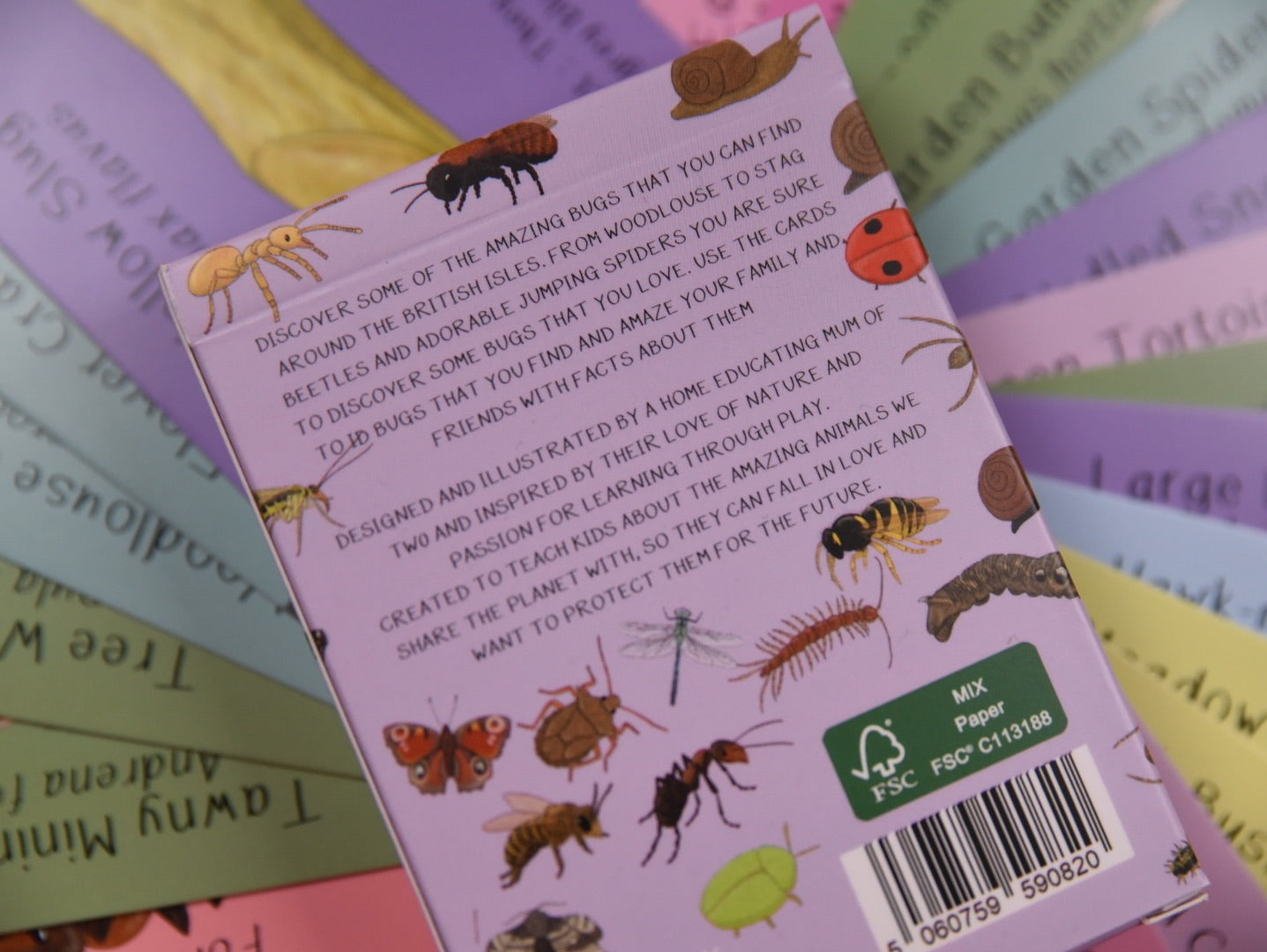 Button and squirt british bugs ID cards back image