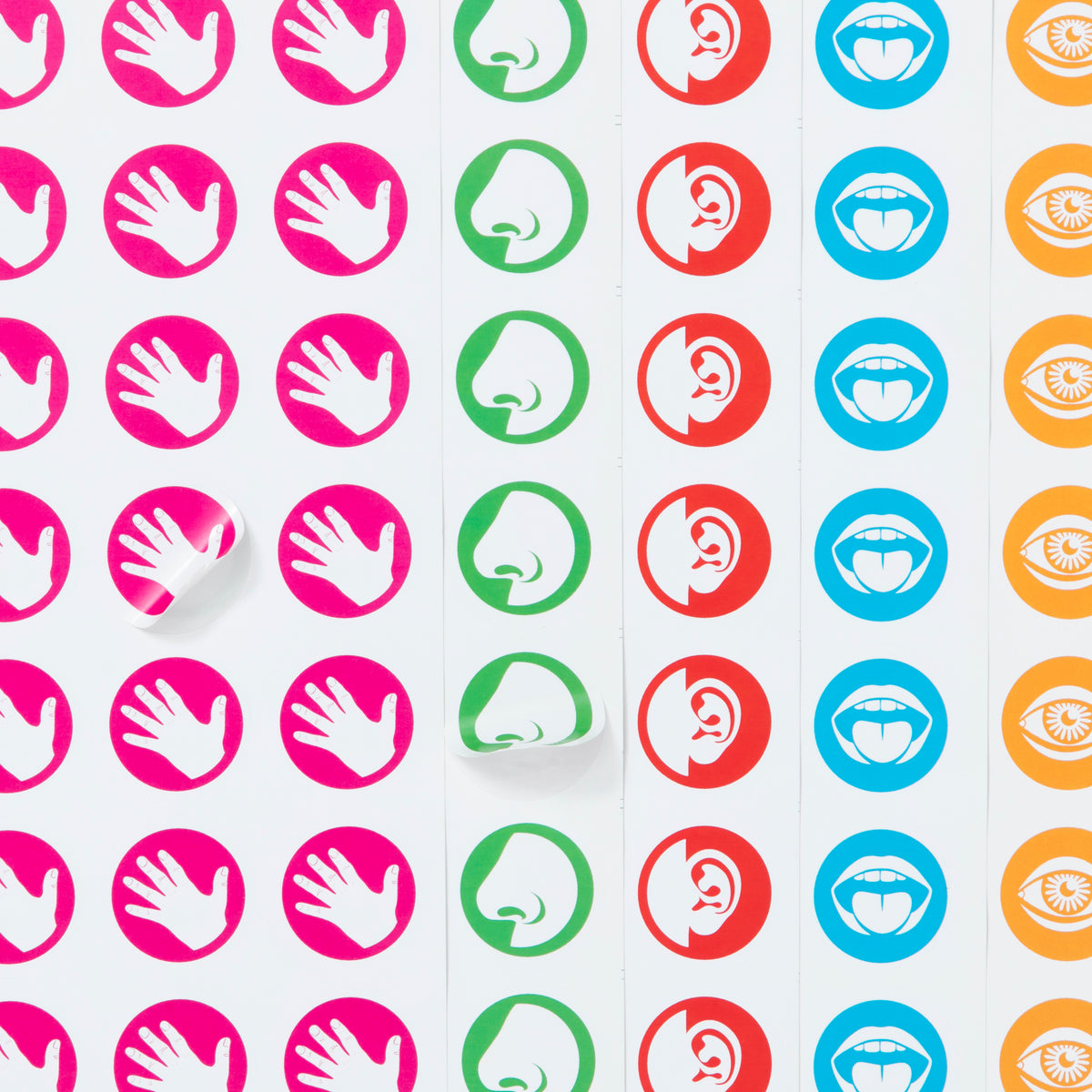 Sense stickers – Sensory Trust