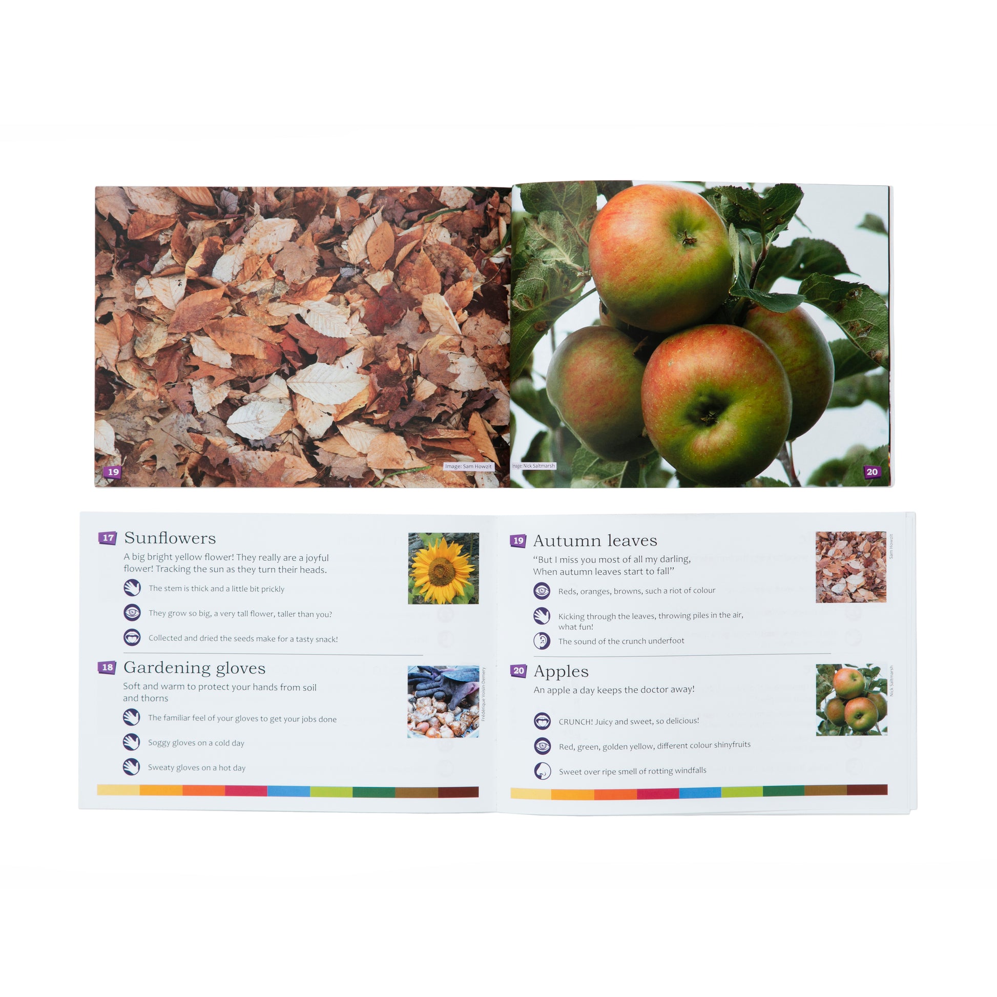 Getting to know you dementia picture book inside 