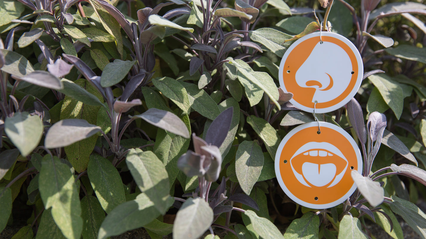 Sensory Trail Marker Plus pack