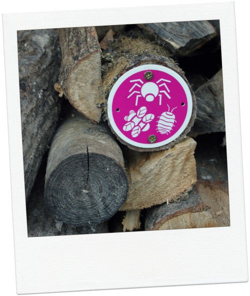 sensory trail symbol